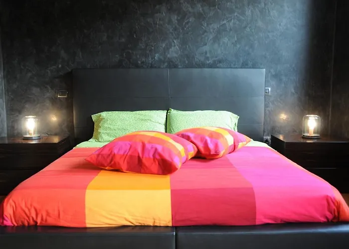 The House بوسيتو